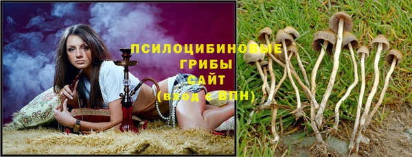 мяу мяу мука Зеленокумск